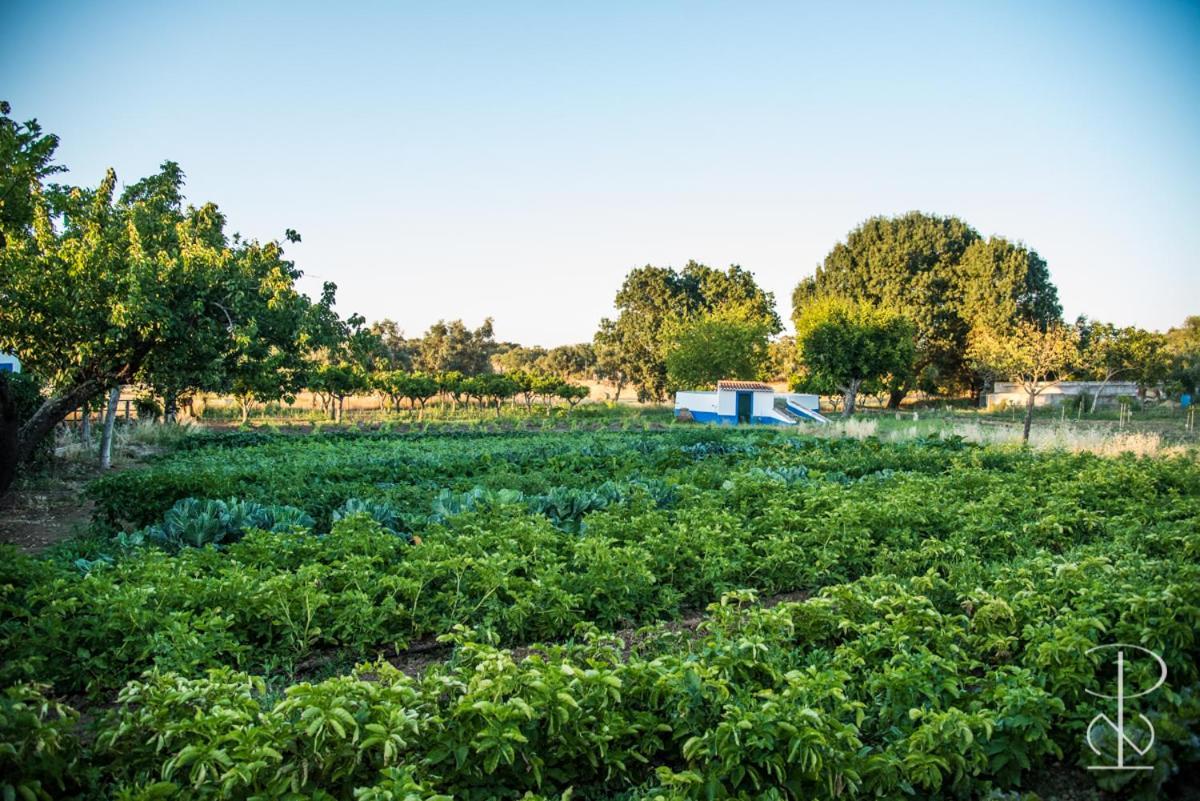 Quinta Do Poco Novo Villa Alcacovas Bagian luar foto