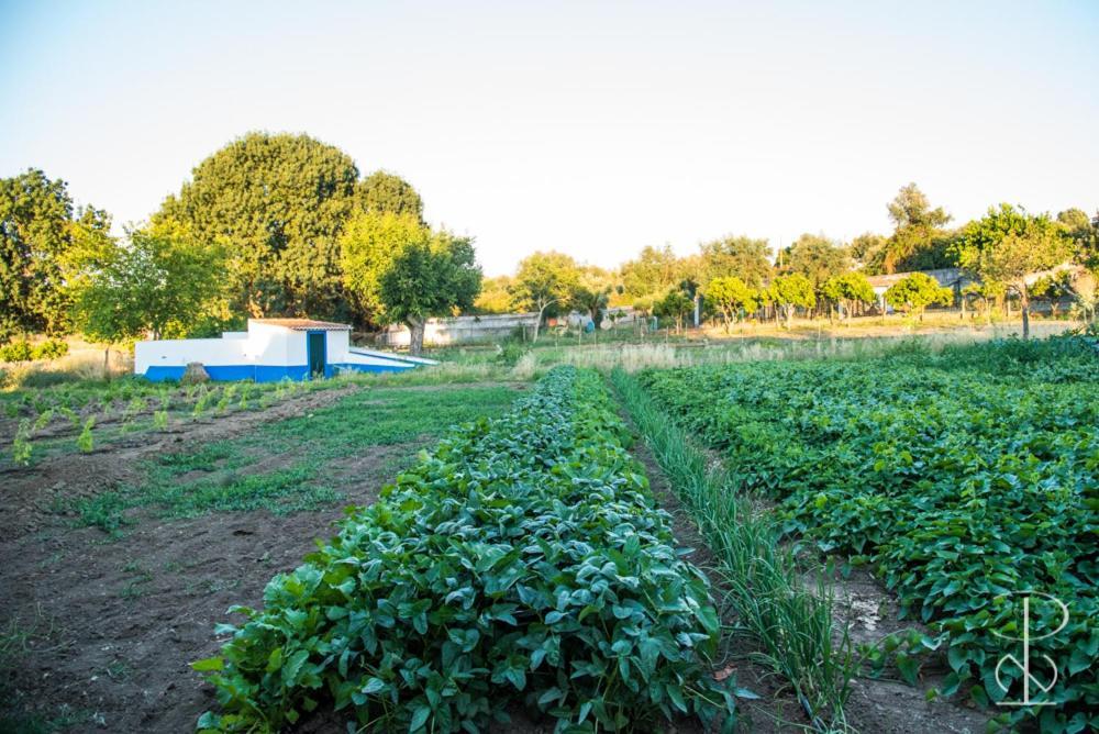 Quinta Do Poco Novo Villa Alcacovas Bagian luar foto